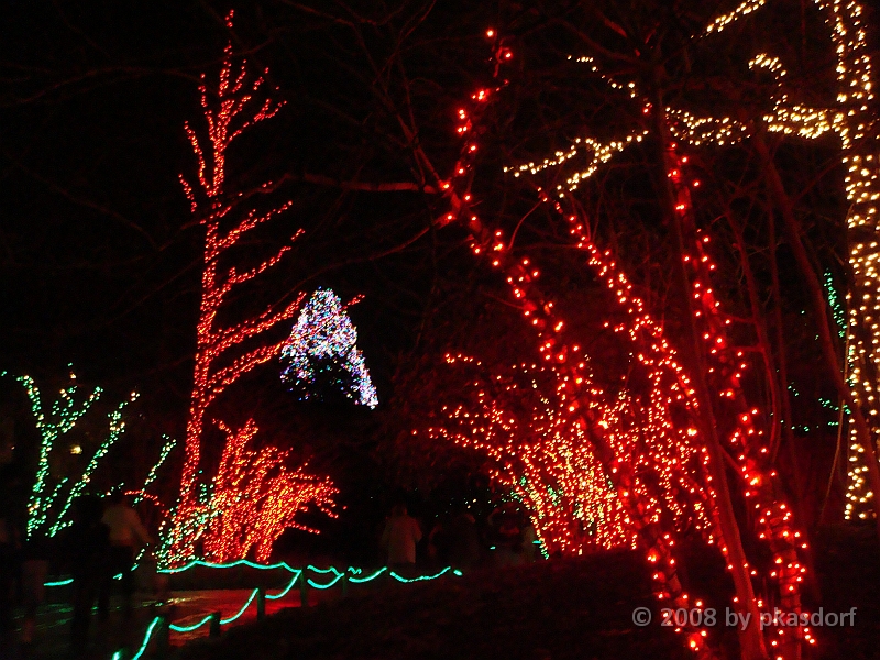 054 Toledo Zoo Light Show [2008 Dec 27].JPG - Scenes from the Toledo Zoo Light Show.